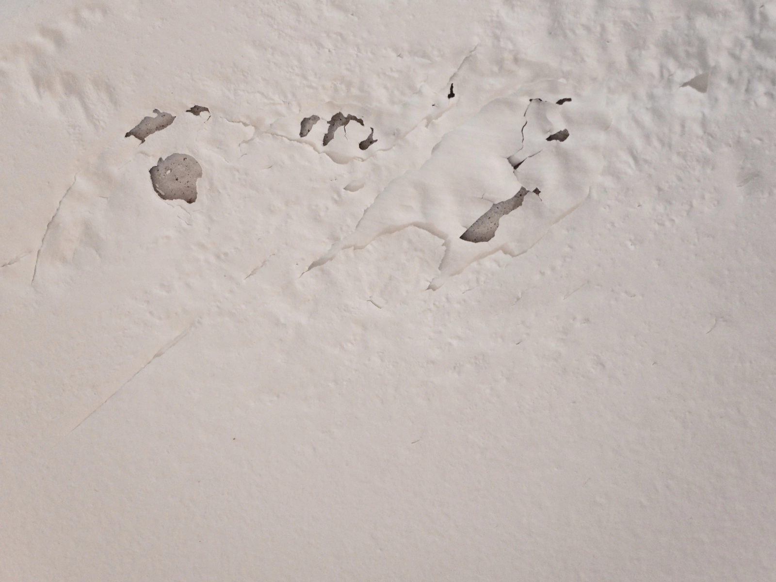 Bubbling paint on ceiling