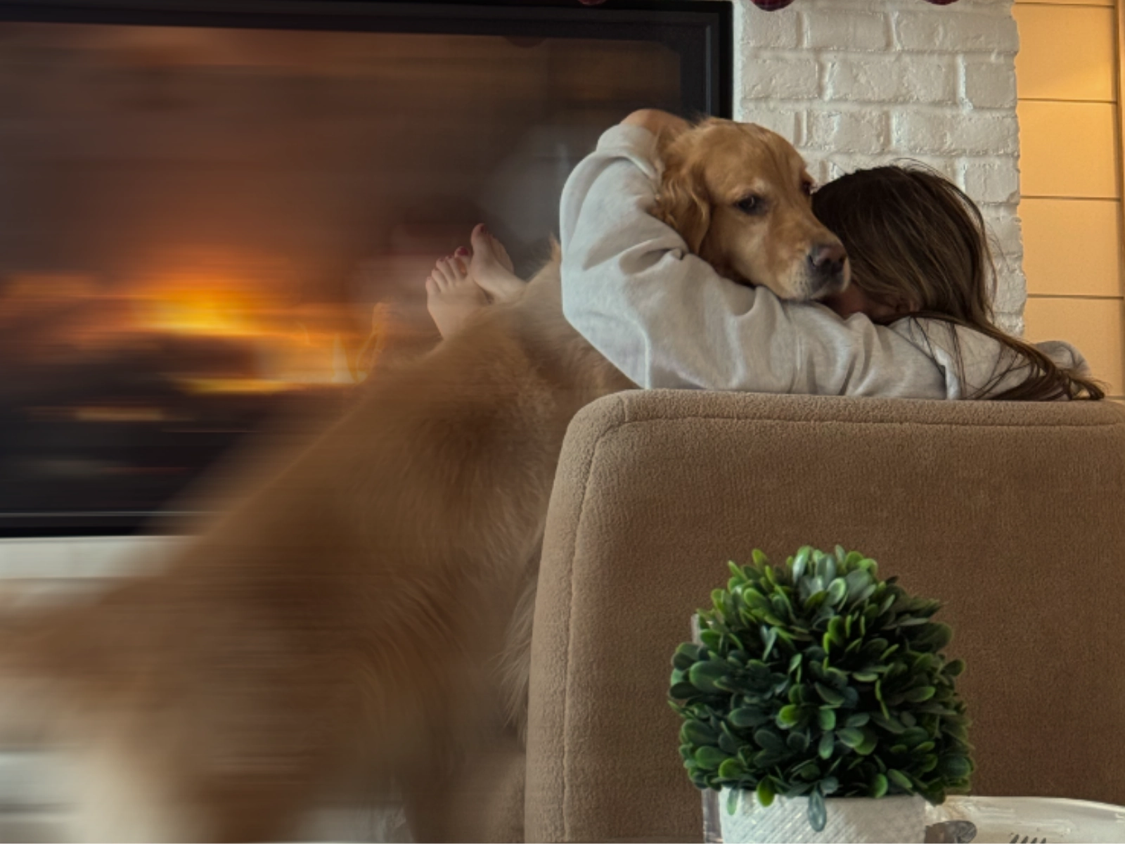 Dog and owner