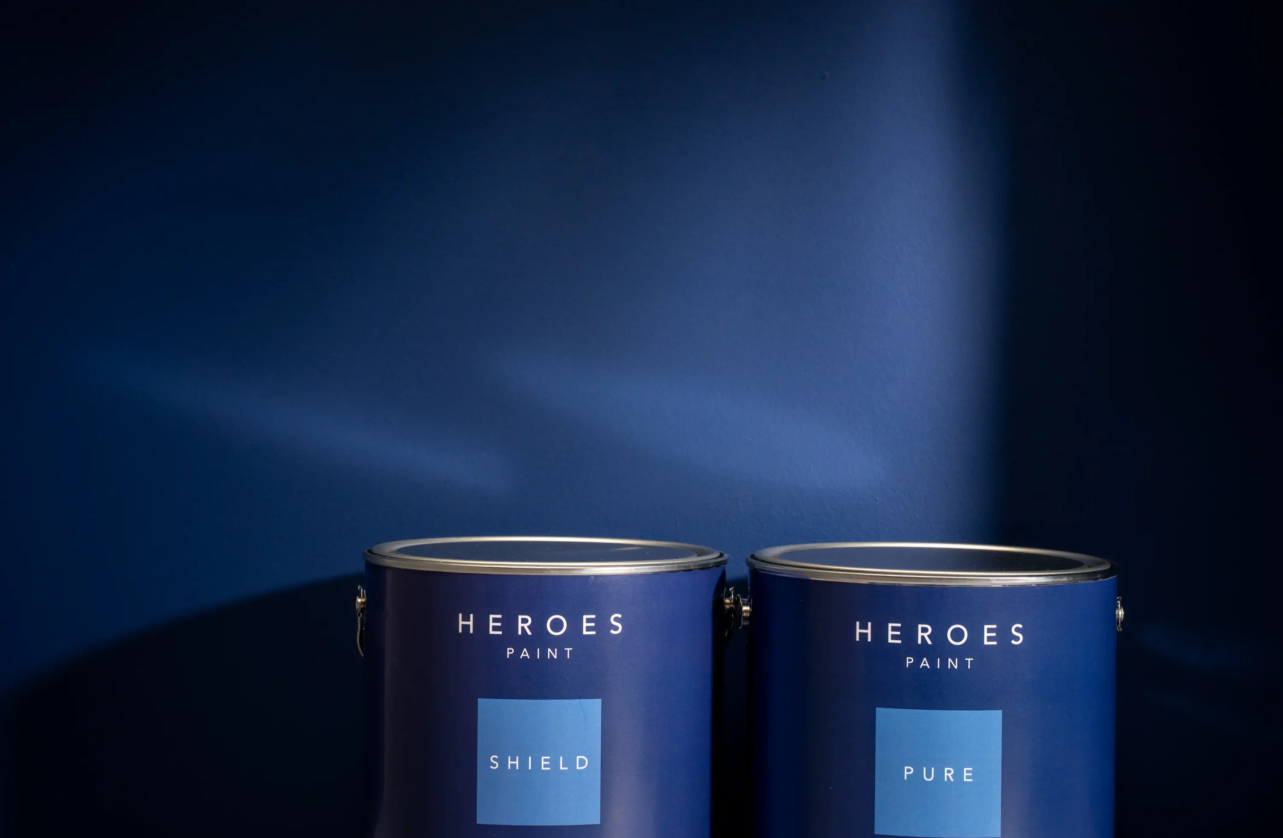 The Heroes System