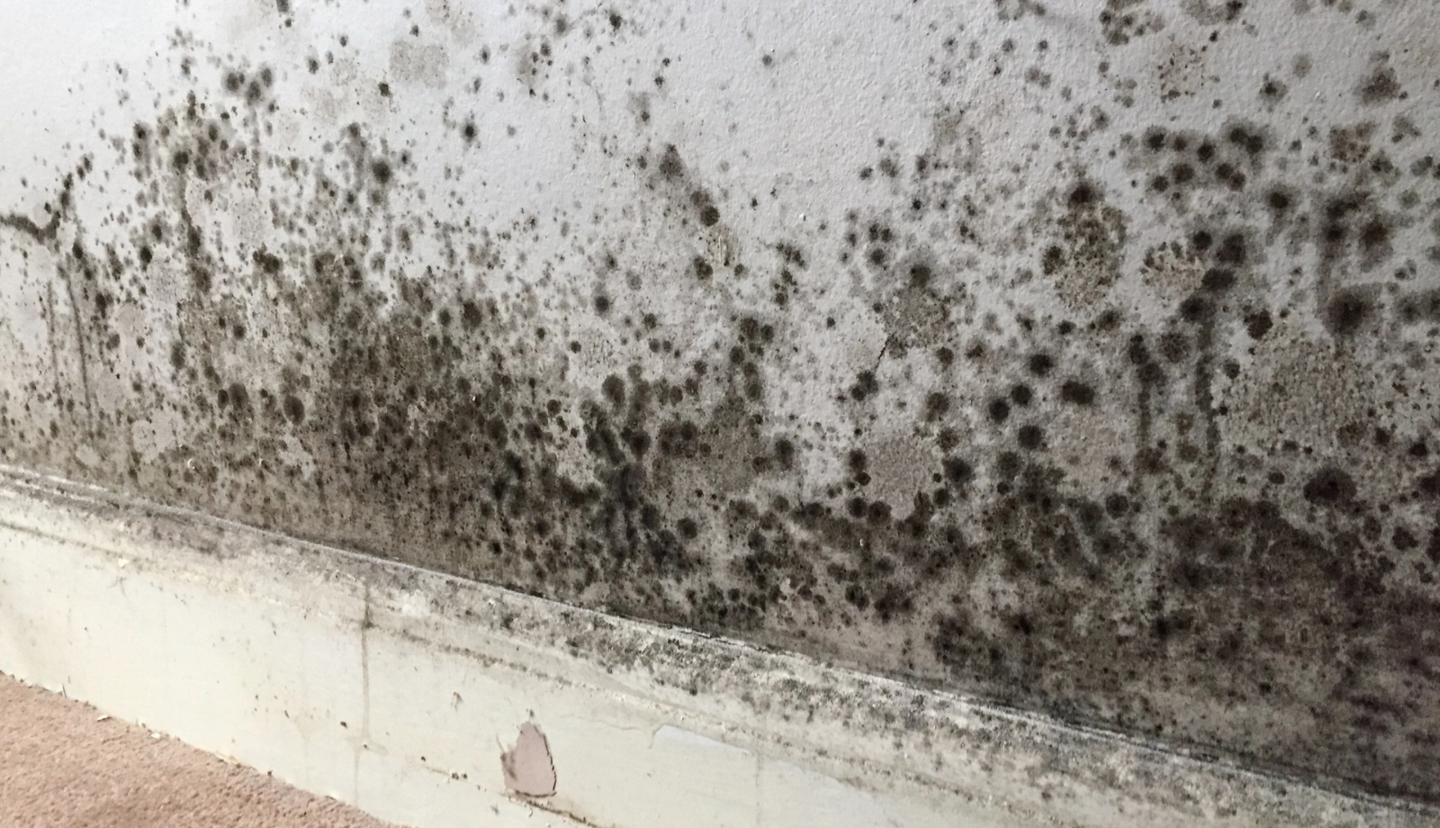Mould on interior walls