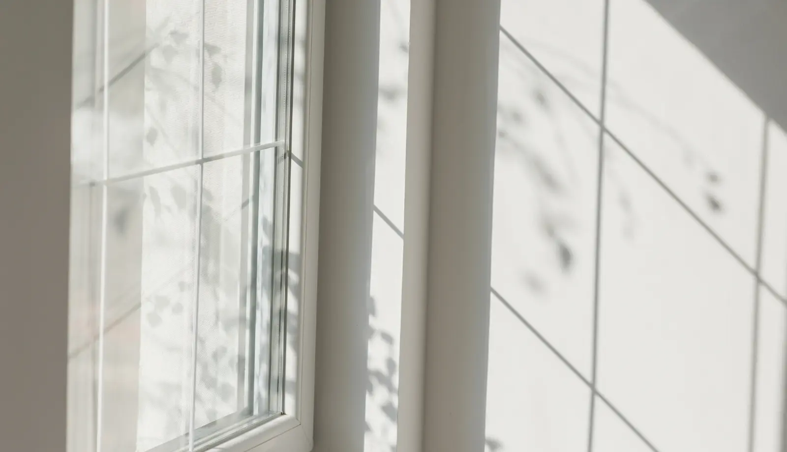 Sun shining through the window
