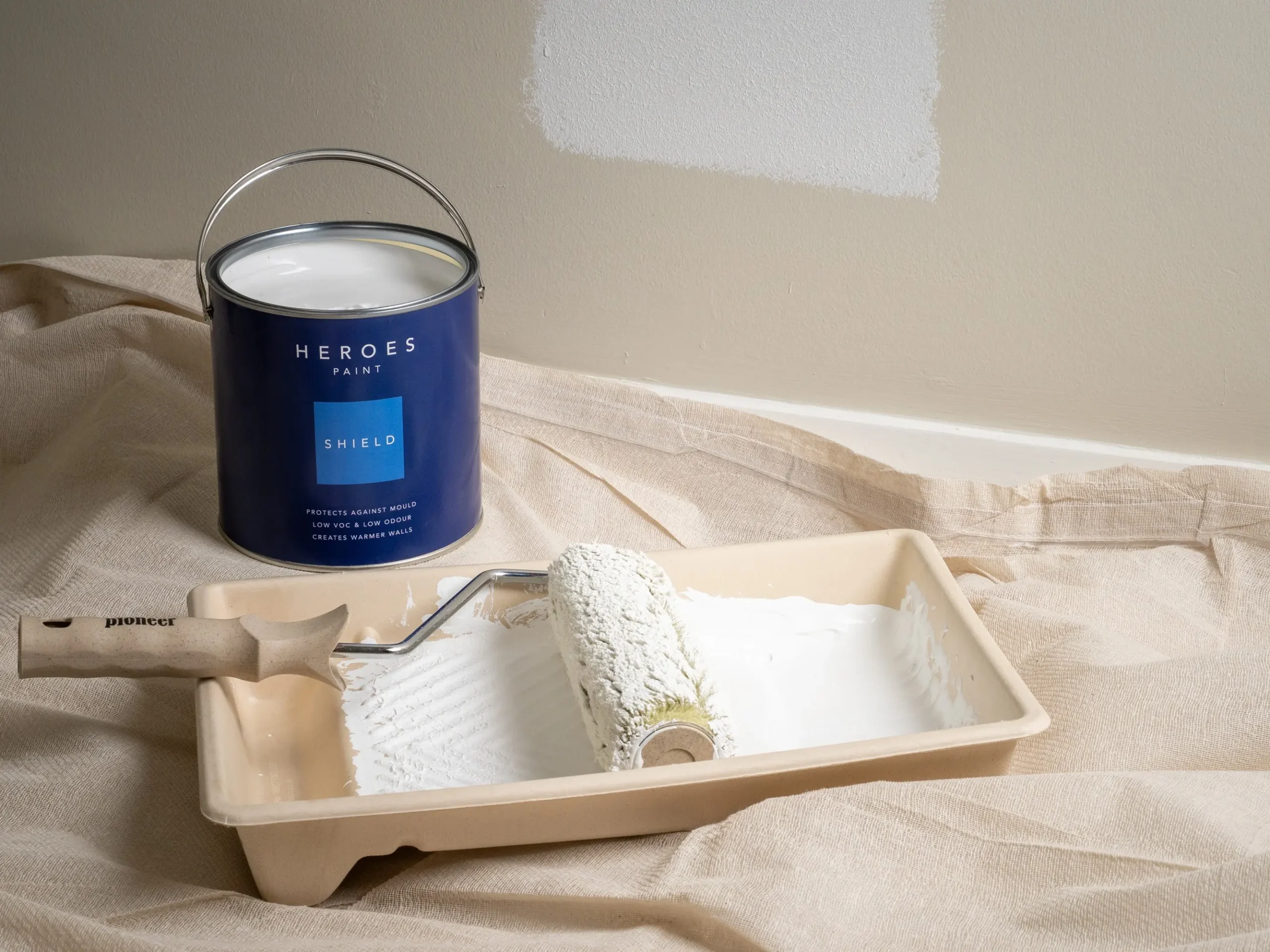 Heroes Shield Anti Mould Paint